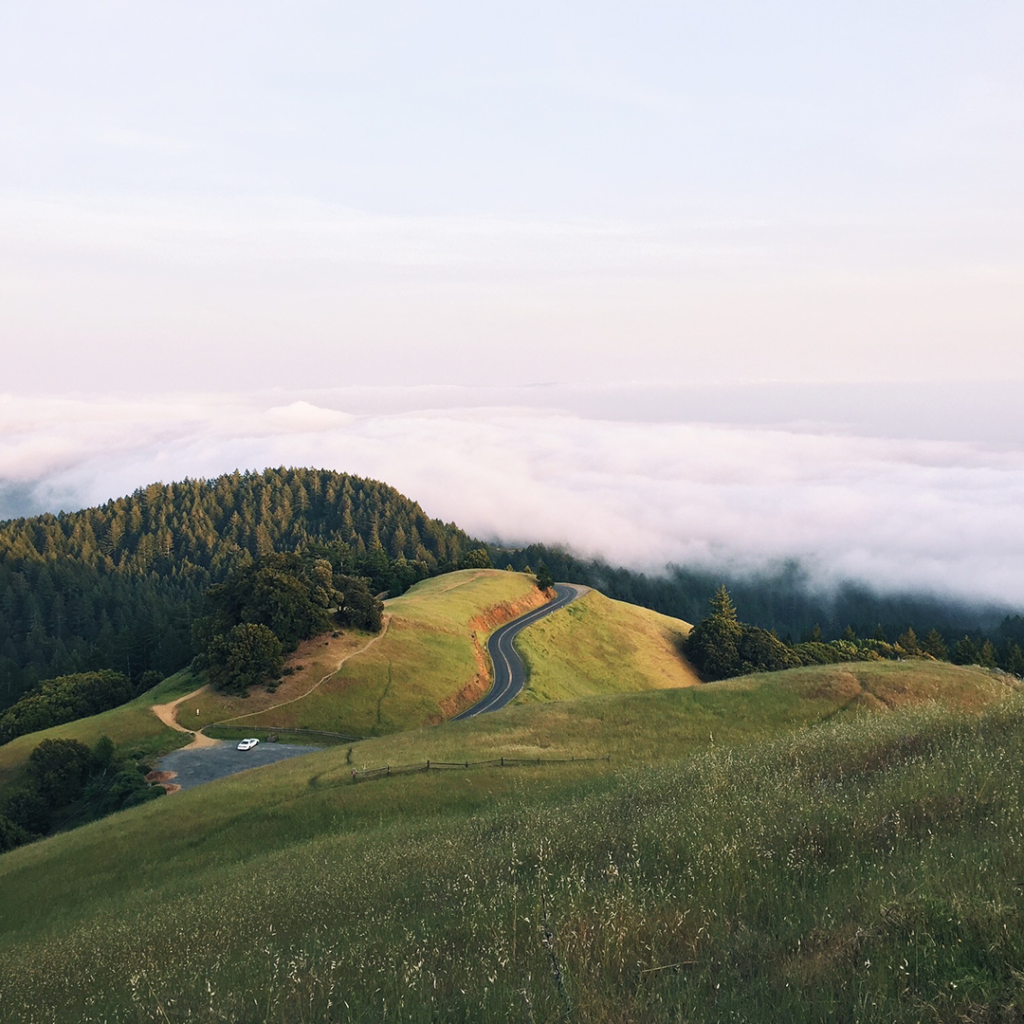 Землевпорядні та геодезичні роботи